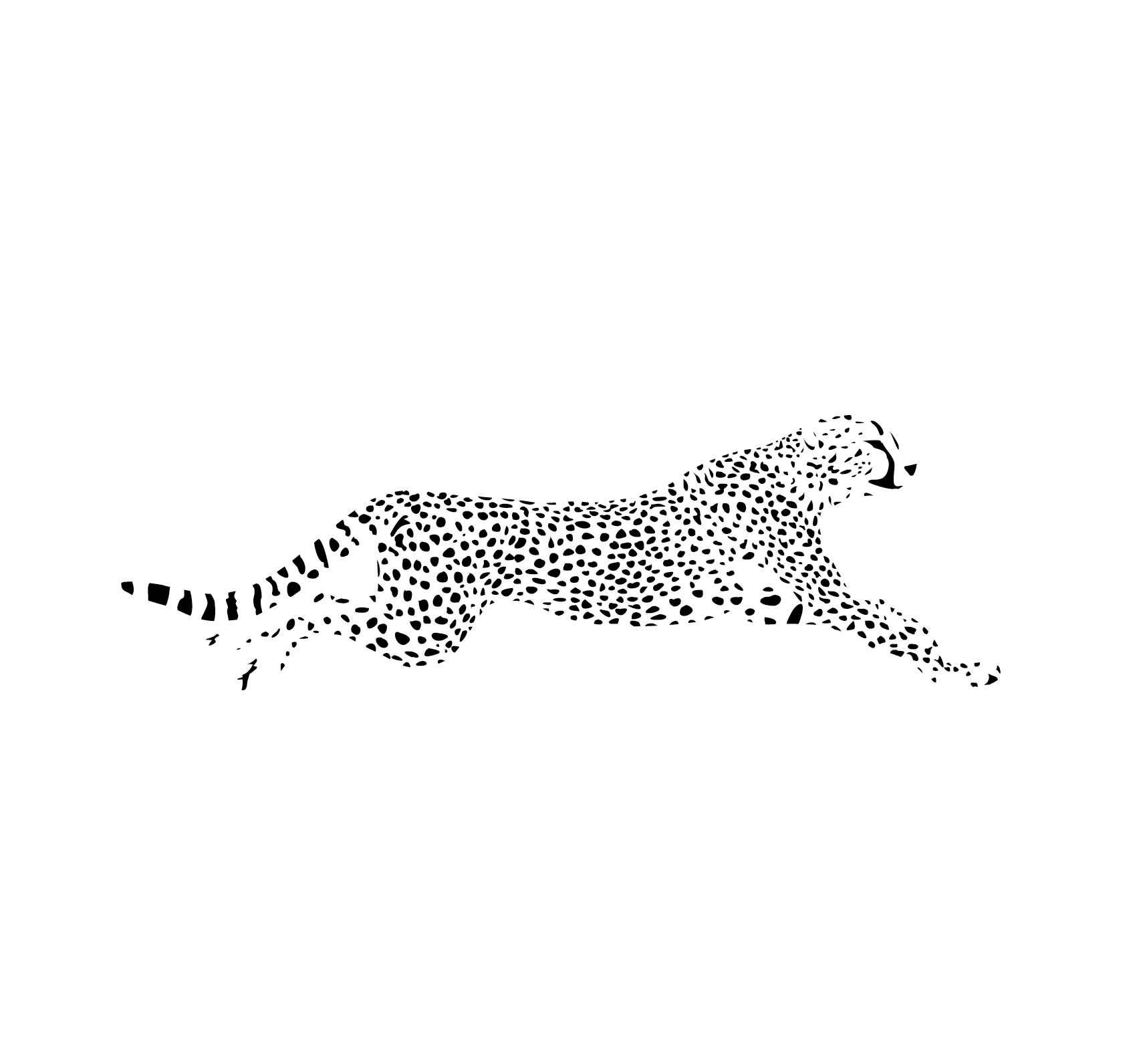 Leopard Cargo UK Ltd